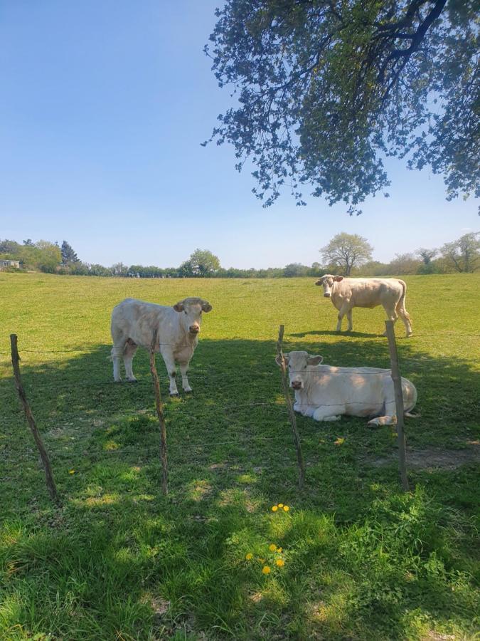 Villa Fleur De Lys Au Puy Du Fou - Stayinvendee La Gaubretiere Esterno foto